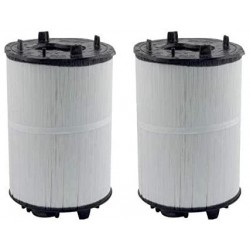 2) Sta-Rite 27002-0100S System 2 3 PLM100 Module Cartridge Filters 270020100S